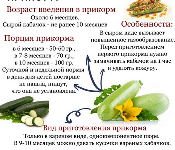 Кабачки при грудном вскармливании можно ли?