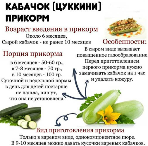 Кабачок для первого прикорма. Как готовить, варить ребенку