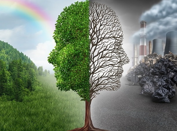 Как человек загрязняет природу. Рисунки, примеры, доклад, как бороться