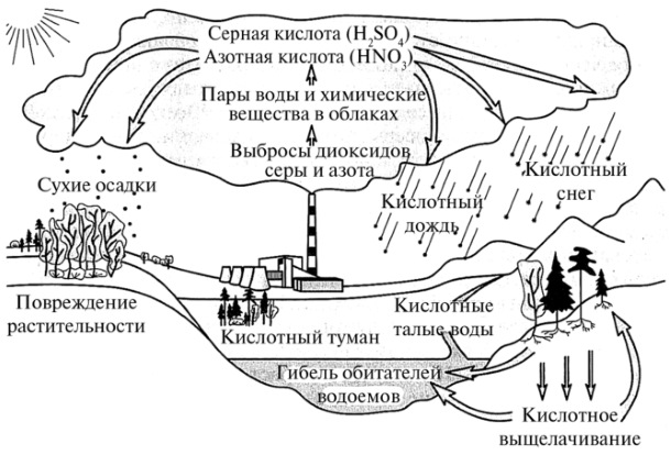 Как человек загрязняет природу. Рисунки, примеры, доклад, как бороться