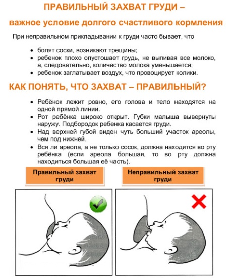 Как держать новорожденного столбиком после кормления
