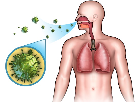 Как лечить зеленые сопли у ребенка. Народные средства, препараты. Причины появления с утра, с запахом, кровью, кашлем, температурой и без