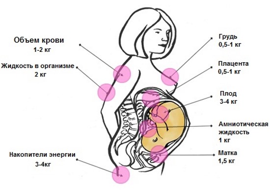 Как не набрать вес во время беременности, скинуть лишнее: диета, меню питания