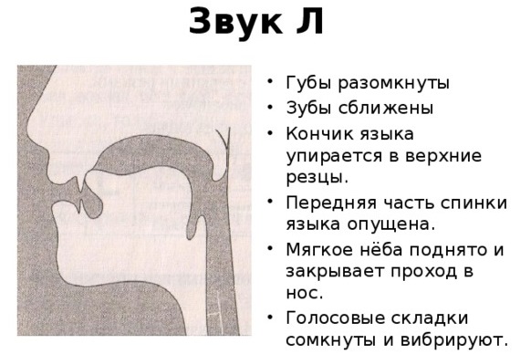 Как поставить звук Л ребенку. Логопедические занятия в домашних условиях
