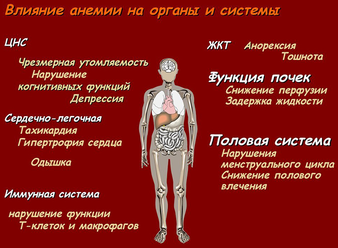 Как повысить гемоглобин при беременности 1-2-3 триместр