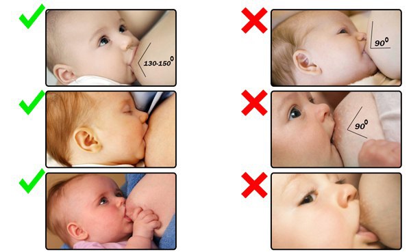 Как повысить лактацию кормящей маме: чай, таблетки Апилак, Млекоин, Млечный путь, продукты питания, витамины и травы