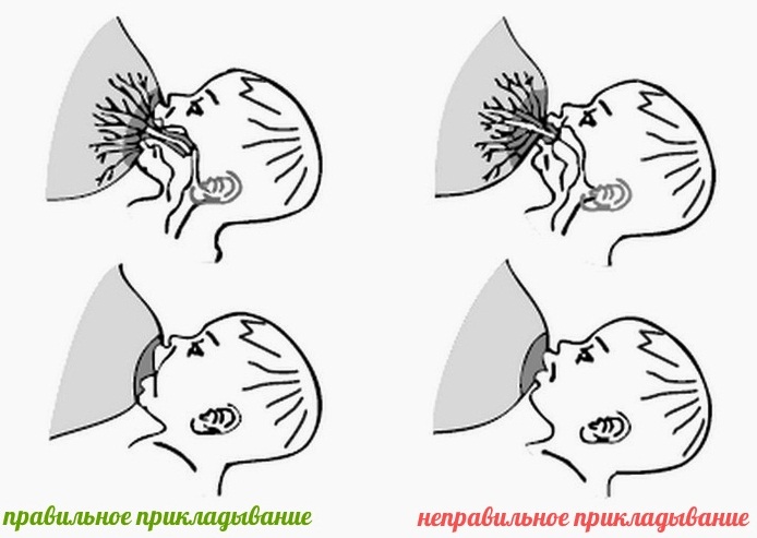 Как правильно прикладывать ребенка к груди при кормлении. Видео, фото, как научиться