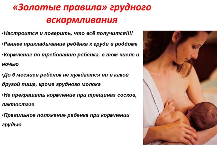 Как правильно прикладывать ребенка к груди при кормлении. Видео, фото, как научиться