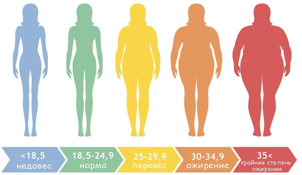 Индекс массы тела (ИМТ) у женщин, мужчин, детей. Что это такое, как считать по возрасту и росту, формула