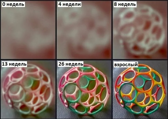 Изучение цветов для детей 2-3 лет на русском, английском языке