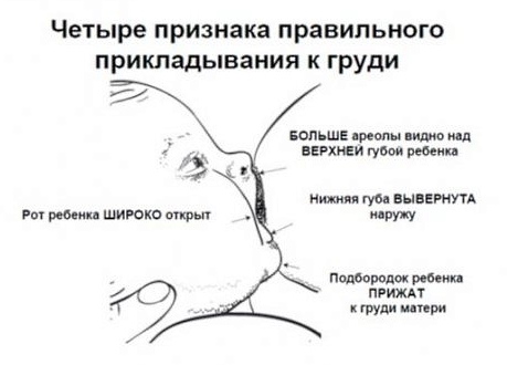 Как восстановить лактацию грудного молока после перерыва, стресса