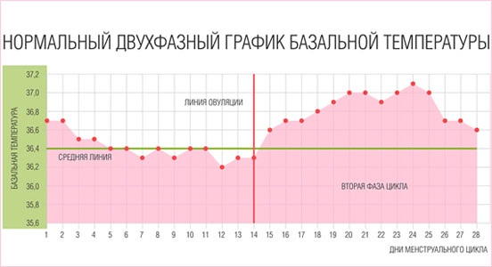 Как рассчитать день для зачатия, график, календарь овуляции для мальчика, девочки. Препараты и народные методы