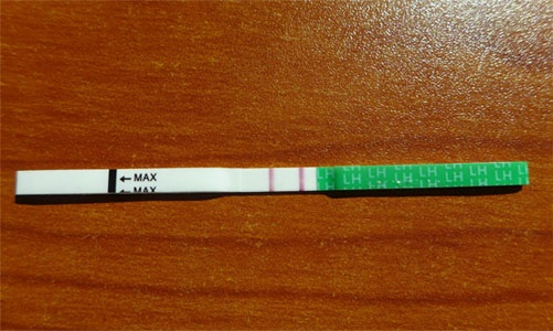 Как рассчитать день для зачатия, график, календарь овуляции для мальчика, девочки. Препараты и народные методы