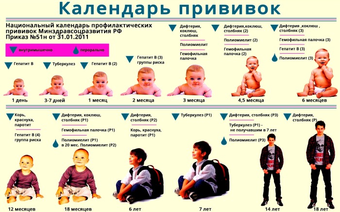 Календарь (график) прививок для детей в России от гриппа, менингита, ветрянки, пневмонии. Обязательные, расшифровка