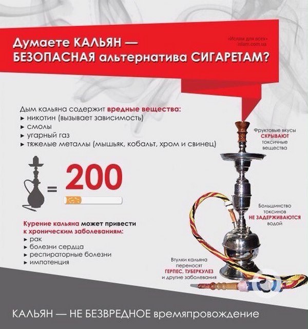 Кальян беременным можно ли курить без никотина?