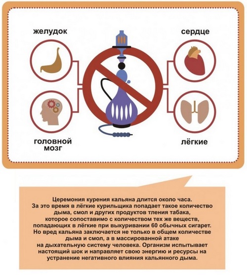 Кальян беременным можно ли курить без никотина?