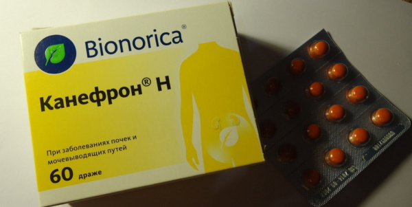 Канефрон при беременности 1-2-3 триместр. Инструкция по применению