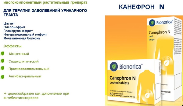 Канефрон при беременности 1-2-3 триместр. Инструкция по применению
