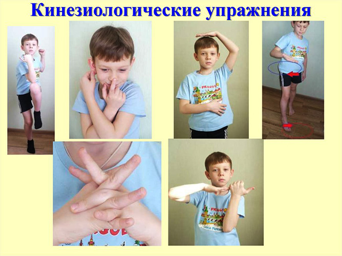 Кинезиологические упражнения для дошкольников в картинках, стихах