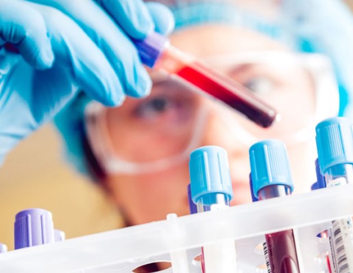 Недели беременности по месяцам, триместрам. Развитие плода, этапы