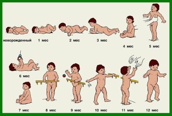 Когда ребенок начинает сидеть: во сколько мальчики, девочки, со скольки месяцев. Как научить ребенка сидеть. Упражнения, советы Комаровского, врачей