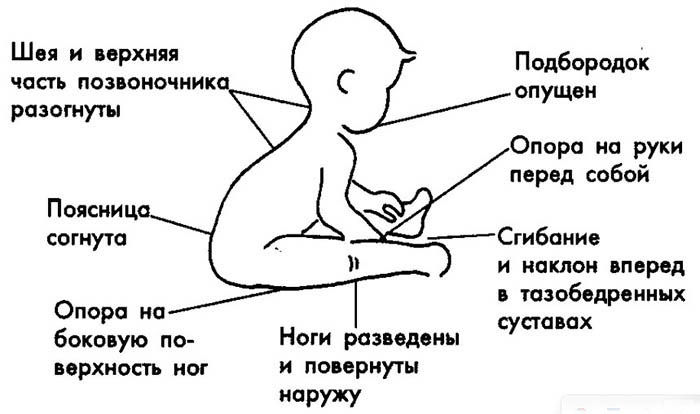 Когда сажать ребенка, возраст, во сколько месяцев присаживать