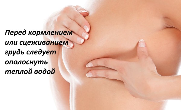Как правильно кормить грудью: подготовка груди, продукты в меню кормящей. Что делать, если грудь болит. Количество потребляемого молока