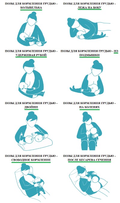 Как правильно кормить грудью: подготовка груди, продукты в меню кормящей. Что делать, если грудь болит. Количество потребляемого молока