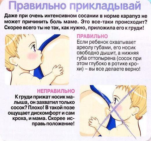 Крем от трещин для кормящих мам: Пурелан, Медела, Бепантен, Авент, Саносан. Инструкции, цены