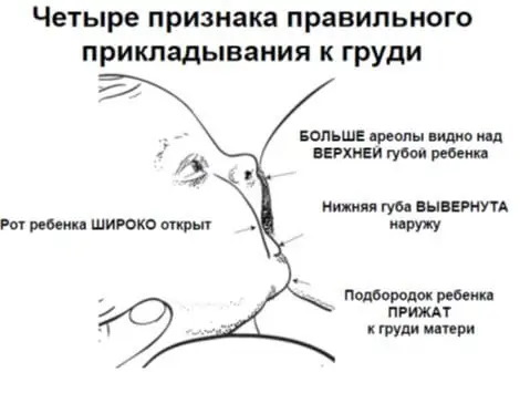 Крем от трещин для кормящих мам: Пурелан, Медела, Бепантен, Авент, Саносан. Инструкции, цены