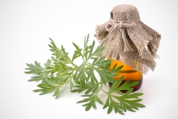 Лямблии у ребенка. Симптомы и лечение, диагностика, как определить