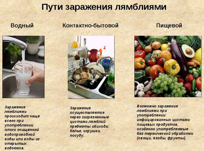 Лямблиоз у детей. Симптомы и лечение, препараты, народные средства