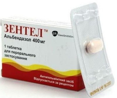 Лямблиоз у детей. Симптомы и лечение, препараты, народные средства