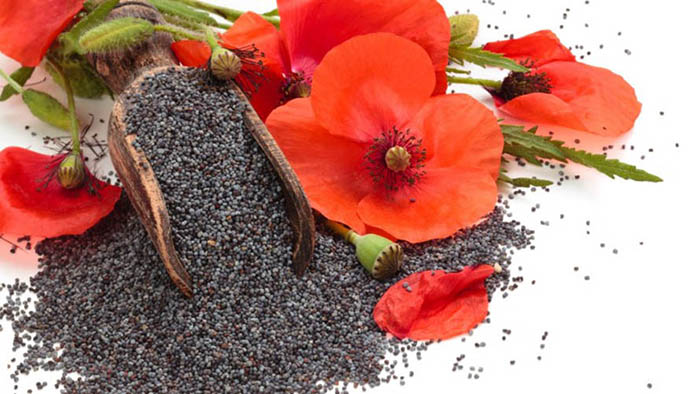 Мак при грудном вскармливании можно ли?