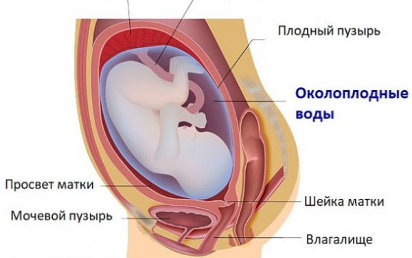 Маловодие при беременности: причины и последствия, чем опасно для ребенка умеренное, выраженное. Лечение