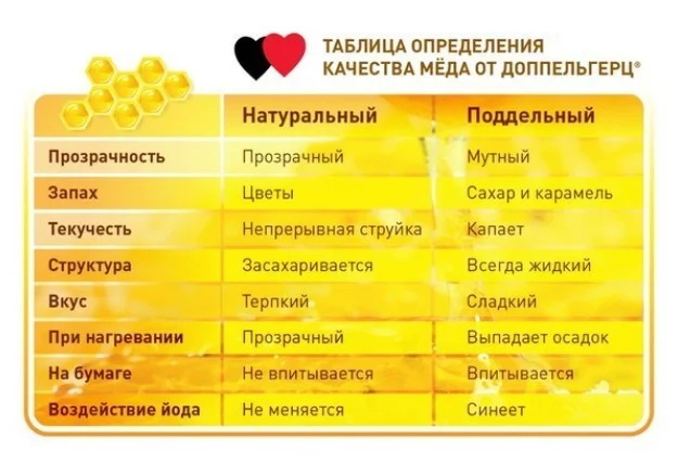 Мед при беременности 1-2-3 триместр. Можно или нет, польза, вред, противопоказания