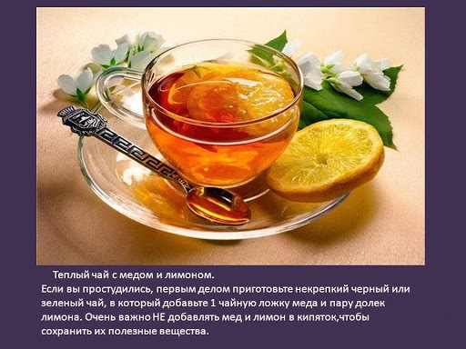 Мед при беременности 1-2-3 триместр. Можно или нет, польза, вред, противопоказания