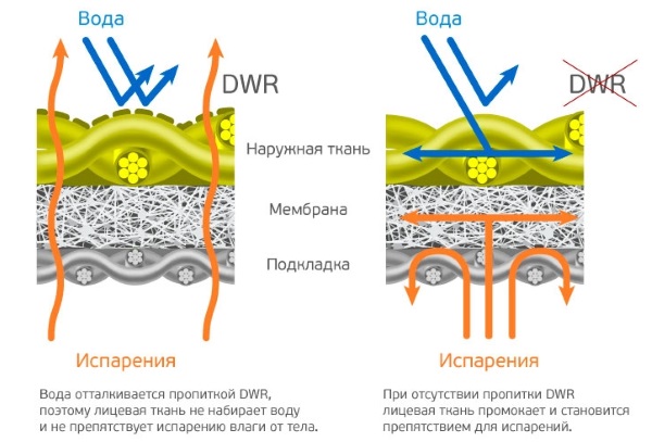 Мембранная одежда для детей. Что это такое, температурный режим, как носить, лучшие фирмы, отзывы