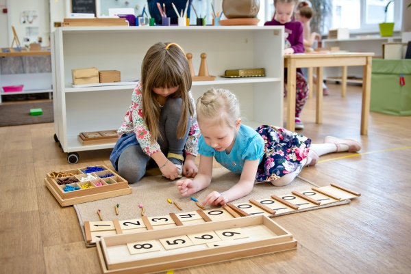 Методика Монтессори для детей. Система развития, игрушки, материалы, доски, игры, книги, наборы