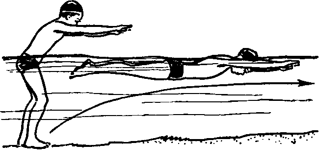 Методика обучения плаванию детей. Способы кроль и брасс, на спине, баттерфляй