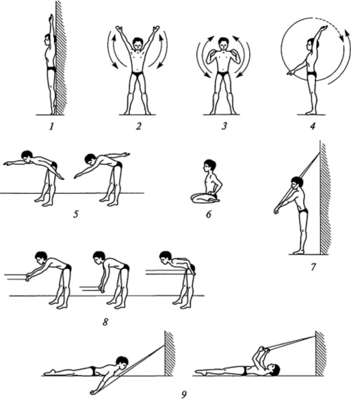 Методика обучения плаванию детей. Способы кроль и брасс, на спине, баттерфляй