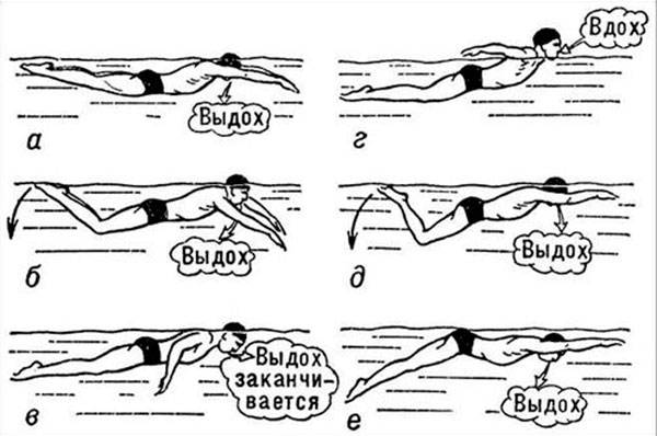 Методика обучения плаванию детей. Способы кроль и брасс, на спине, баттерфляй