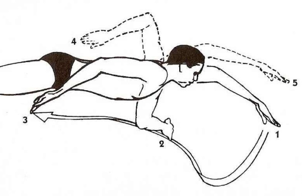 Методика обучения плаванию детей. Способы кроль и брасс, на спине, баттерфляй