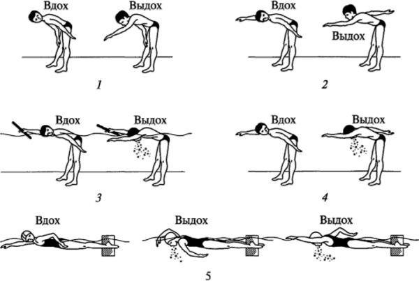 Методика обучения плаванию детей. Способы кроль и брасс, на спине, баттерфляй