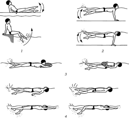 Методика обучения плаванию детей. Способы кроль и брасс, на спине, баттерфляй