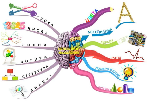 Межполушарное взаимодействие. Упражнения для детей, игры, для чего развивать, за что отвечает