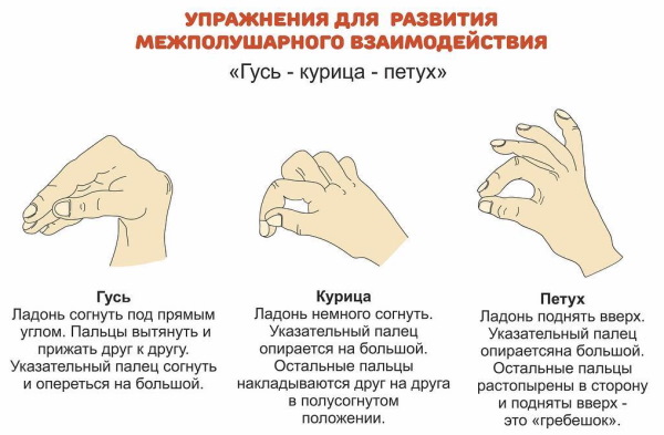 Межполушарное взаимодействие. Упражнения для детей, игры, для чего развивать, за что отвечает