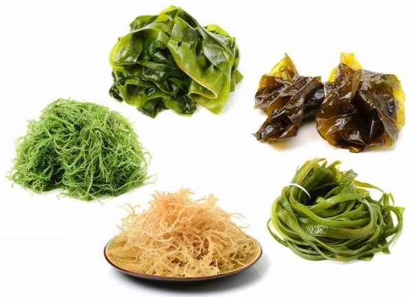 Морская капуста при ГВ: можно ли в 1-2-3-4 месяца