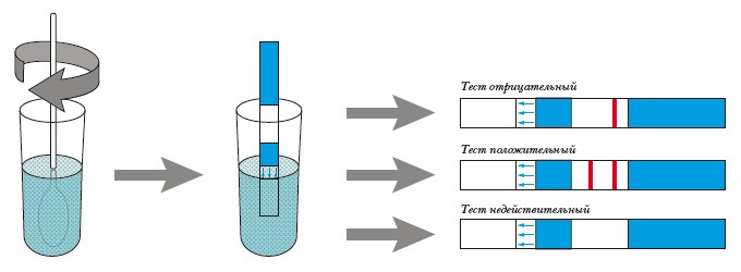 Может ли тест на беременность ошибаться? На ранних сроках, при положительном, отрицательном результате, до и после задержки