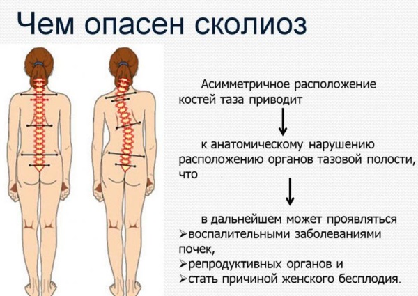 Музыкальные физминутки для детей с движениями, дошкольникам 3-4-6-7 лет, 1 класса
